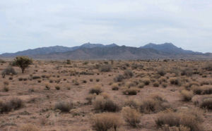 nature,desert,arizona,desierto