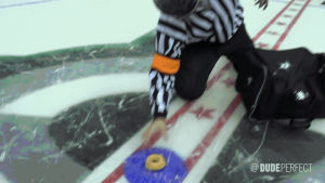 hockey,sports,ice,doughnut