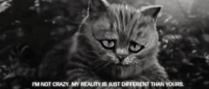 cheshire cat,alice in wonderland,black and white,cartoon