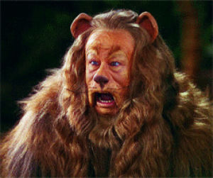 cowardly lion,wizard of oz,bert lahr,judy garland,toto,dorothy gale,wicked witch