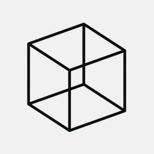 cube,animation,square