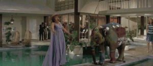 elephant,peter sellers,pool party,blake edwards,the party,foam party,birdy num num,the party movie 1968,the party movie