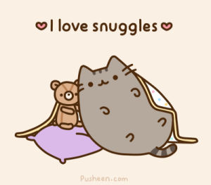 pusheen,cat,kitty,snuggles