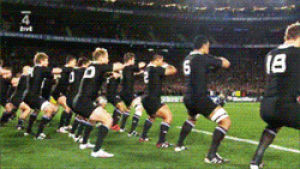 all blacks,haka,rugby world cup,france