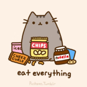 pusheen,chocolate,cat,food,kitty,eat,idea