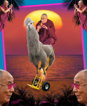 dalai lama,llama,llama drama,weird,random,candy,trolli,sour brite crawlers,dolly,dolly llama,lol,lmfao,weirdly awesome