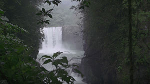 waterfall,veracruz,cinemagraph,mexico