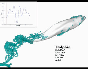 fluid dynamics,swimming,dolphin,simulation,cursing the tree,cfd