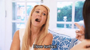 weird,rhobh,real housewives of beverly hills,turtles,kim richards,the real housewives of beverly hills
