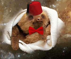 classy,towel,sloth,fez,bowtie,fezzes are cool,sloths in space