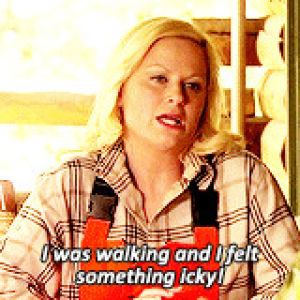 parks and recreation,amy poehler,parks and rec,stuff,leslie knope,500
