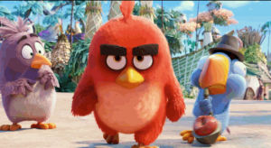 stop,angry birds,eggs,red,birds,anger,the angry birds movie