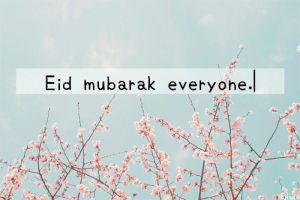 eid mubarak everyone,eid mubarak,eid,ramadan kareem,eid ul fitr,ramadan,eid 2015,may allah blessings be with you today tomorrow and always,wishing we could meet again,ramadan muba,and also sayonara ramadan