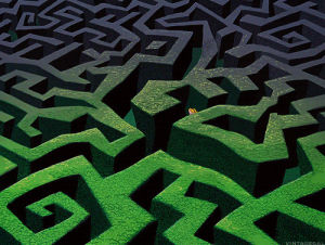 alice in wonderland,film,cinema,labyrinth,maze