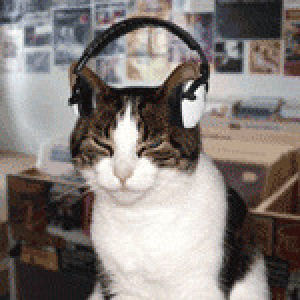 music,headphones,cat