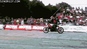 stunt,riding,sports,win,motorcycle