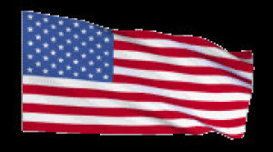 transparent,american flag