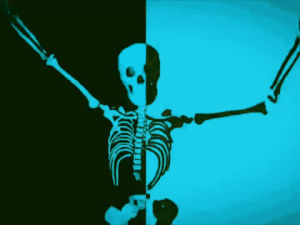 halloween,disco,dance,skull,skeleton