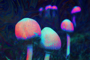 mushrooms,trippy,psychedelic