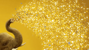 gold,glitter,sparkle,celebrate,new year,elephant,funny,fabulous,fancy,animals,party,bling,san diego zoo
