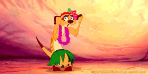 timon,hawaiian,lion king,grass skirt,lei,dancing,hula