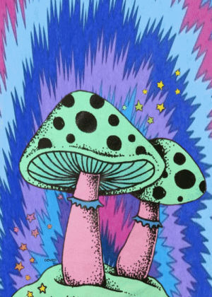 psychedelic,trippy,shrooms,mushrooms,mushies