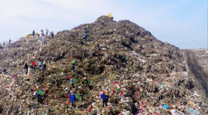 pollution,plastic,environment,sea,ocean,trash,oil,indonesia,trash collectors