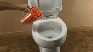 carrot,flush,toilet,toilet test,baby carrots