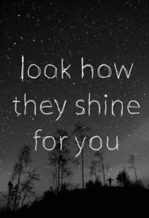 bright,stars,shine