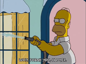 homer simpson,episode 13,snow,season 14,shocked,ice,ned flanders,thank you,14x13