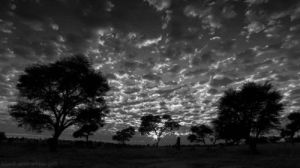 landscape,africa,black and white,planet earth live