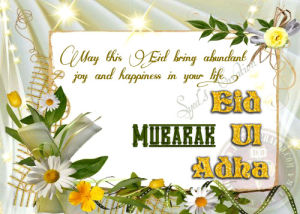 xxxxxx,eid al adha,member,mubarak,sonny chiba,eid,family,all,chat,dd,adha