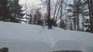 roof,funny,fail,snow,fall,hilarious,slide,afv,shenanigans,weeeee,whimper