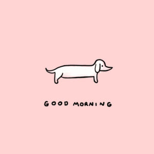 good morning,goodmorning,morning,dachshund,good,dog,doxie,stretch,static electricity