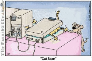 cat,scan