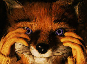 fantastic mr fox,wes anderson,film,tbt