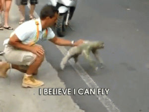 sloth,i believe i can fly,animals