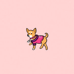 chihuahua,party,puppy,celebrate,sweet,stefanie shank,legally blonde,purple,stef shank,animation,happy,dog,cute,loop,illustration,kawaii,pink,pastel,reese witherspoon,pup,pastel pink,house of joy,think pink
