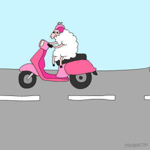 art,vespa,sheep,artists on tumblr,lol,fox,animation domination,foxadhd,goat,fxx,csaba klement,awesome,animation domination high definition,international day of awesomeness,motorcycle