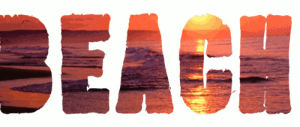 typography,water,2013,summer,beach,ocean,sunset,sand,flamingo,summer 2013,endless summer,art design