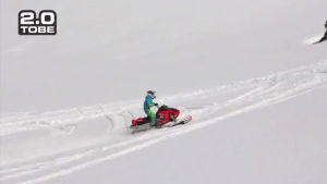 snowmobile,flip