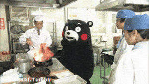 chef,kitchen,bear,cooking,excited