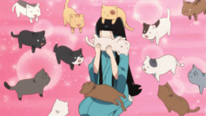 kitty,kitties,miau,anime,cat,kawaii,meow