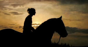 horse,pretty,sea,ocean,pony,bucket list,sun set