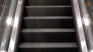 escalator,ham