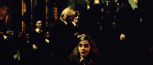 harry potter,twins,hermione granger,fred weasley,goblet of fire,george weasley