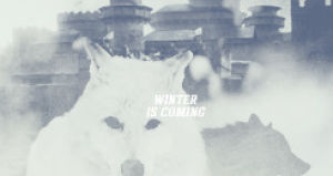 wolf,game of thrones,animals,talking,calling,howling,this is a thing of beauty