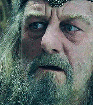 theoden,return of the king,the lord of the rings,two towers