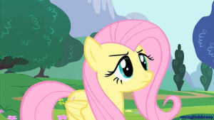 fluttershy,rainbow dash,scared,shocked,surprised,my little pony