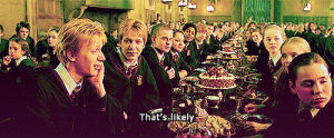 george weasley,fred and george,fred weasley,no,harry potter,sarcasm,unlikely,forget 2 chainz and remember food chains